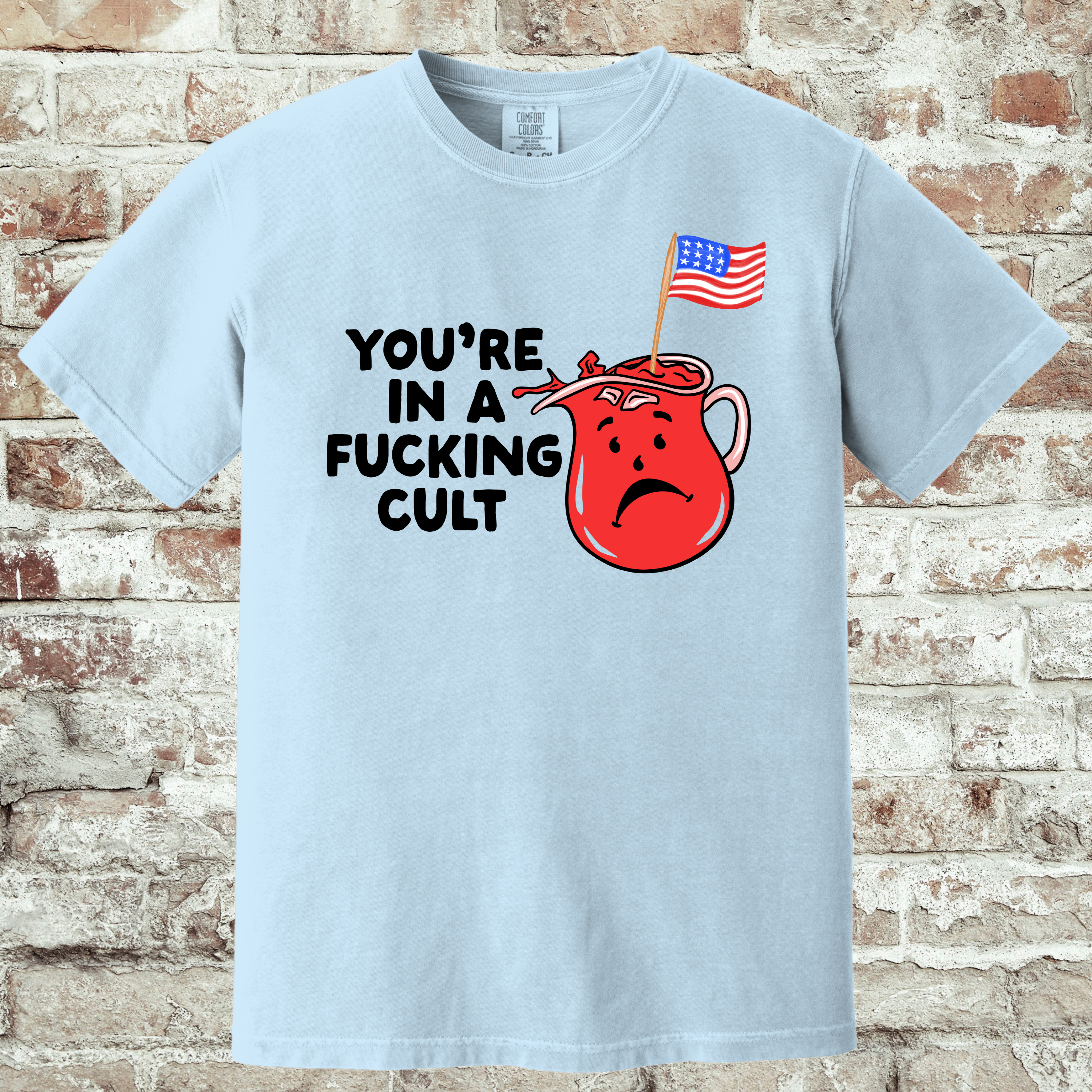 'You're In A Fucking Cult' - Unisex T-Shirt - Some People Marinate In It!