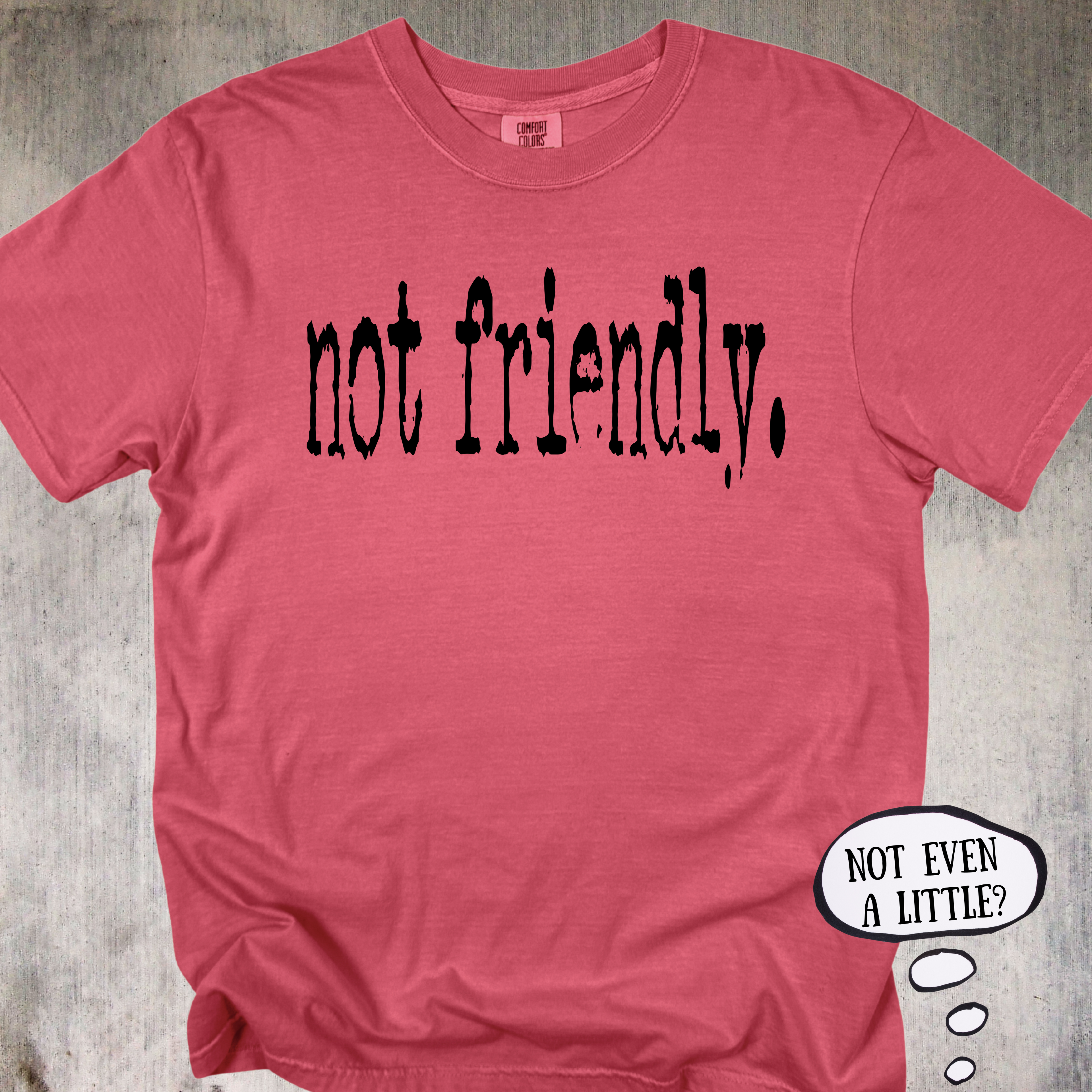 'Not Friendly' - Unisex T-Shirt That Does The Talking For You