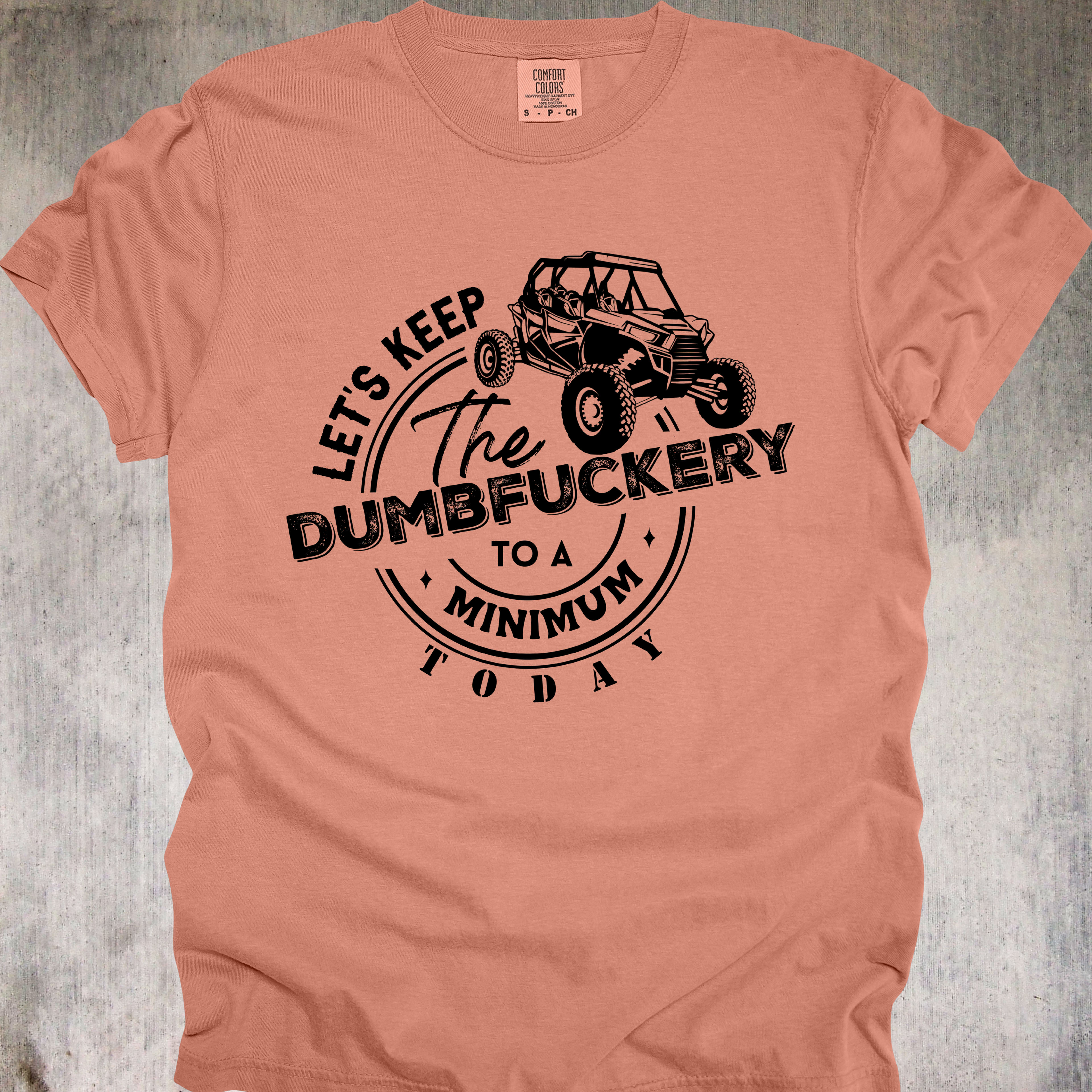 'LET'S KEEP THE DUMBFUCKERY TO A MINIMUM TODAY' - UNISEX T-SHIRT TO LET PEOPLE KNOW TODAY IS NOT THE DAY