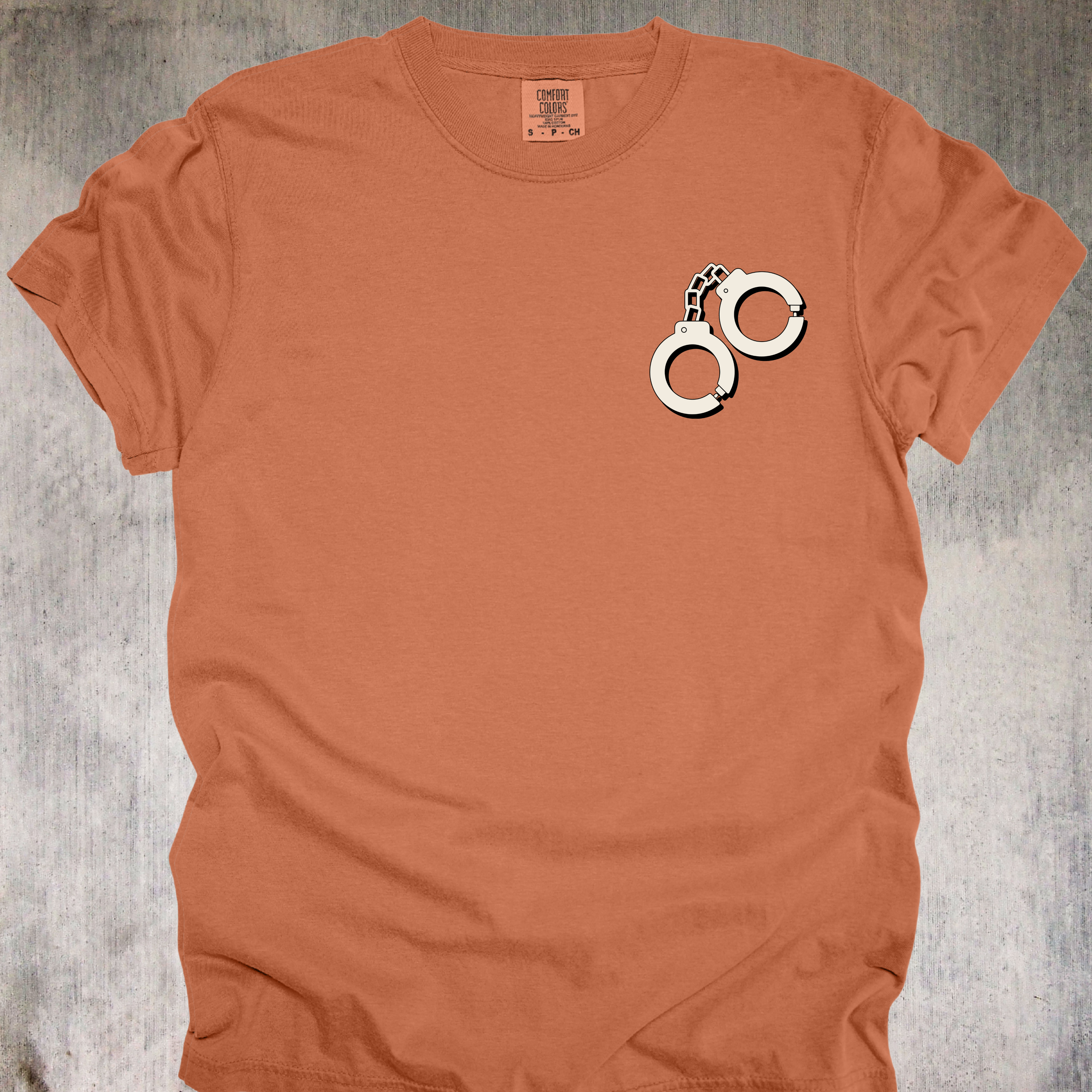 'BUT WHY DO I HAVE THE SAME TASTE IN MEN AS THE DEPARTMENT OF CORRECTIONS?' - Unisex T-Shirt - When Your Type Includes Red Flags And Mugshots