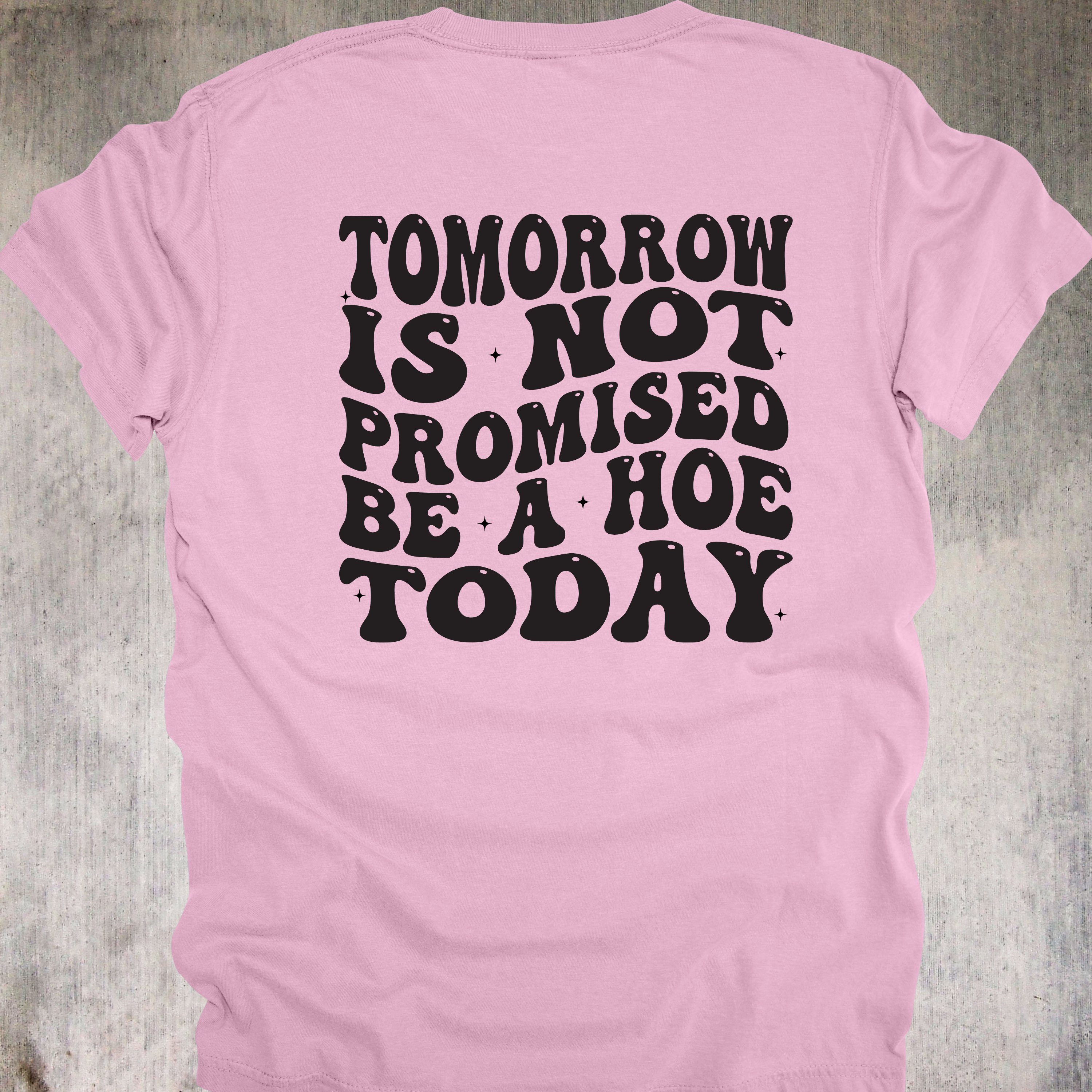 'TOMORROW IS NOT PROMISED-BE A HOE TODAY' - Unisex T-Shirt - YOLO You Feral Beast