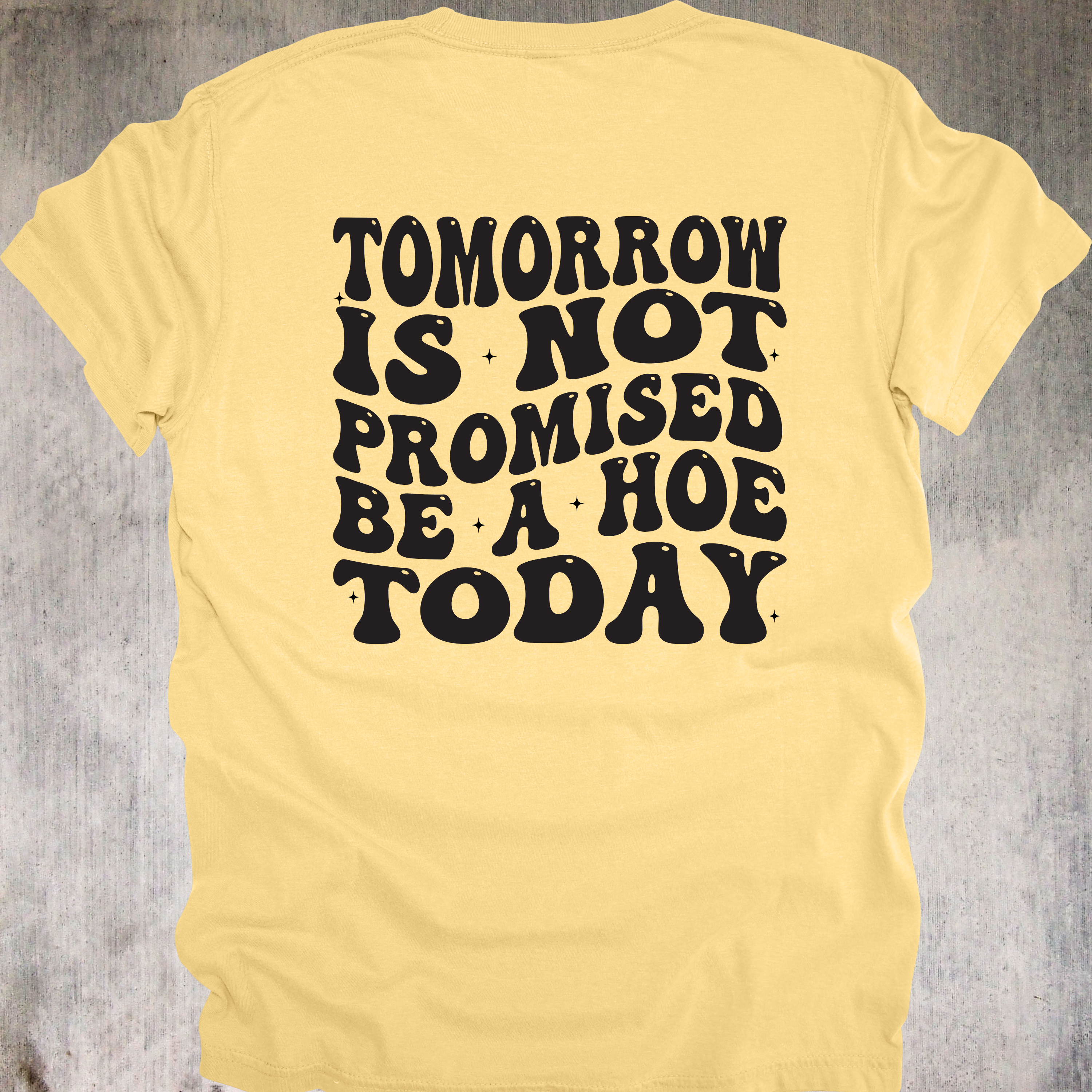 'TOMORROW IS NOT PROMISED-BE A HOE TODAY' - Unisex T-Shirt - YOLO You Feral Beast