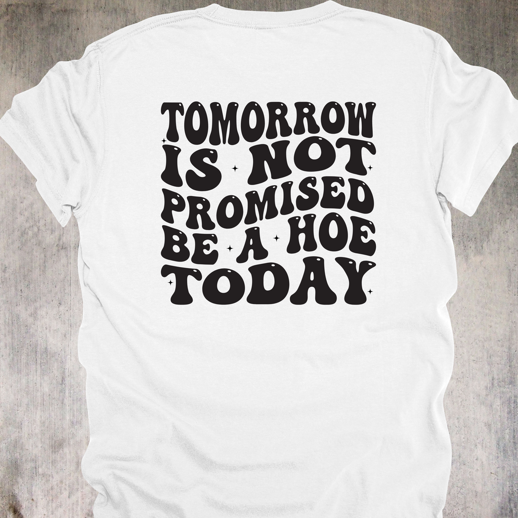 'TOMORROW IS NOT PROMISED-BE A HOE TODAY' - Unisex T-Shirt - YOLO You Feral Beast
