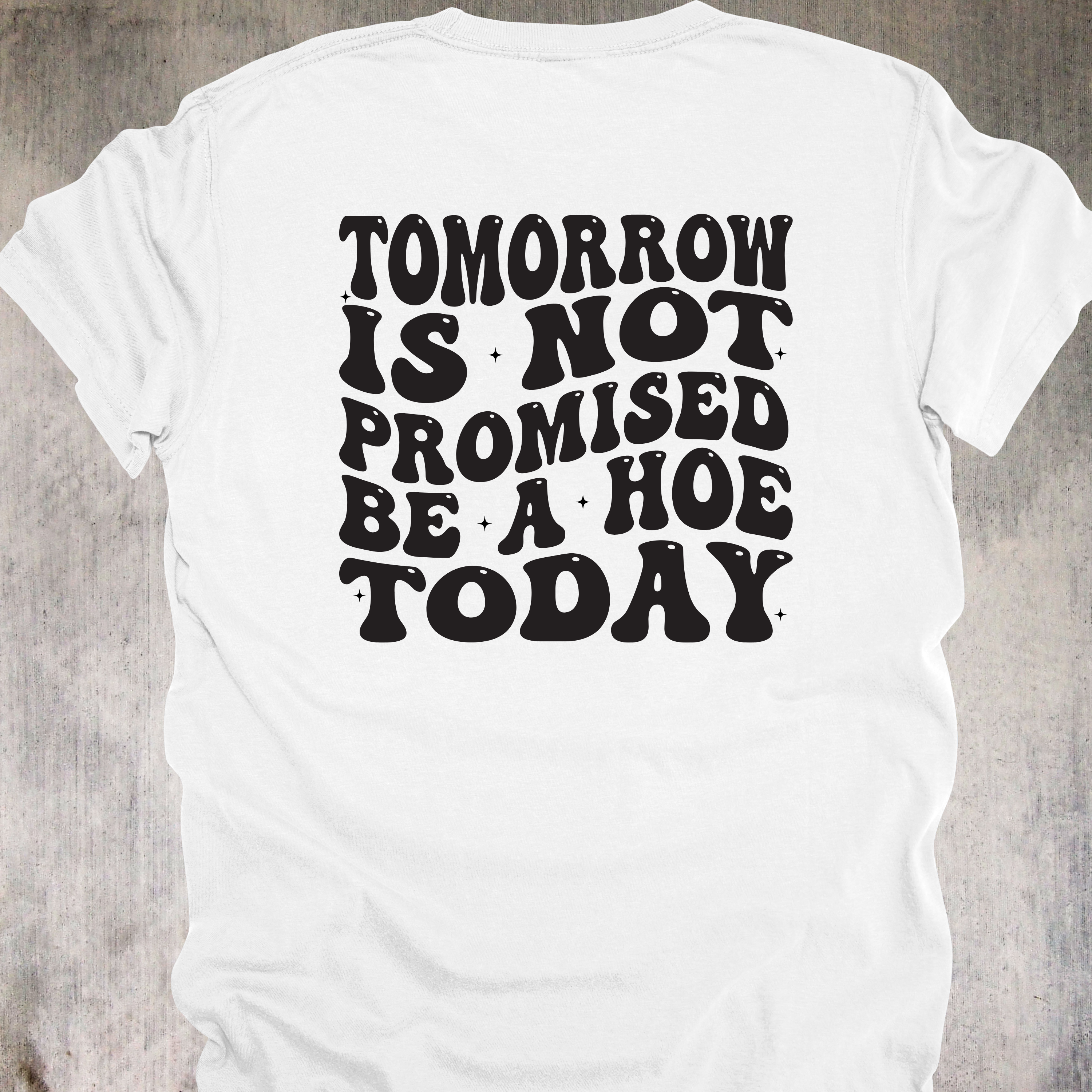 'TOMORROW IS NOT PROMISED-BE A HOE TODAY' - Unisex T-Shirt - YOLO You Feral Beast