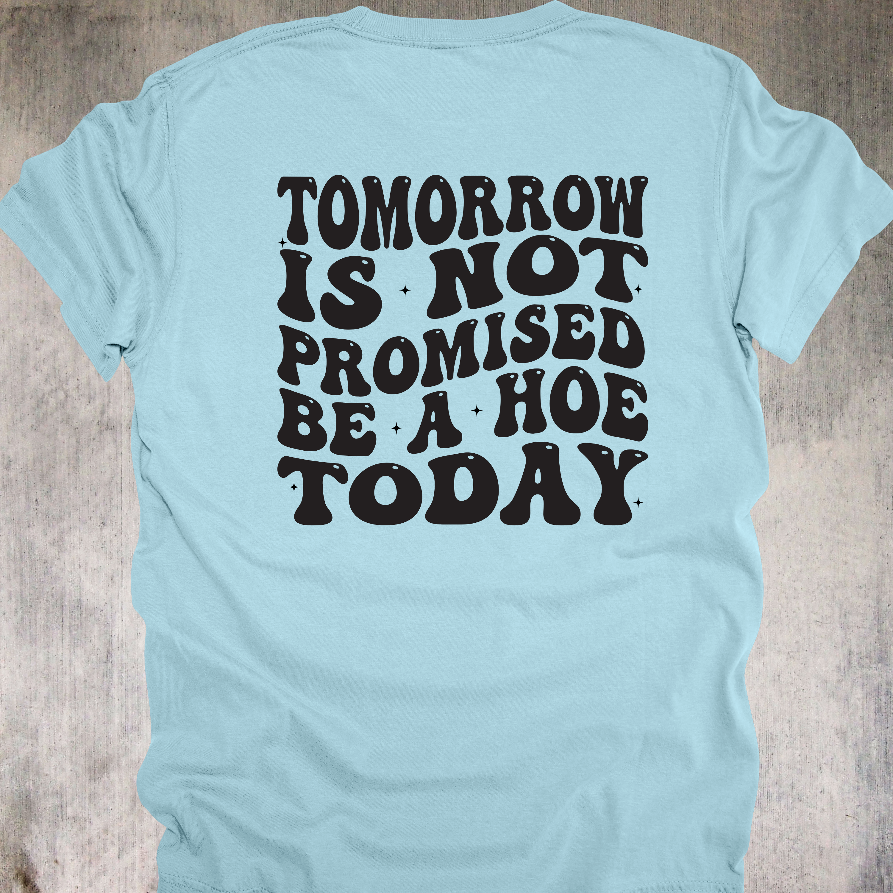 'TOMORROW IS NOT PROMISED-BE A HOE TODAY' - Unisex T-Shirt - YOLO You Feral Beast
