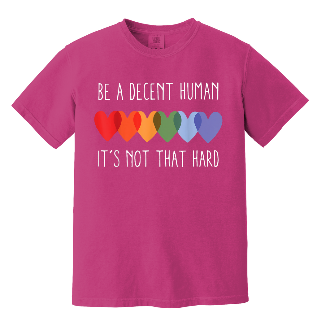 'BE A DECENT HUMAN-IT'S NOT THAT HARD' - Unisex T-Shirt - Wear The Message The World Needs To Practice