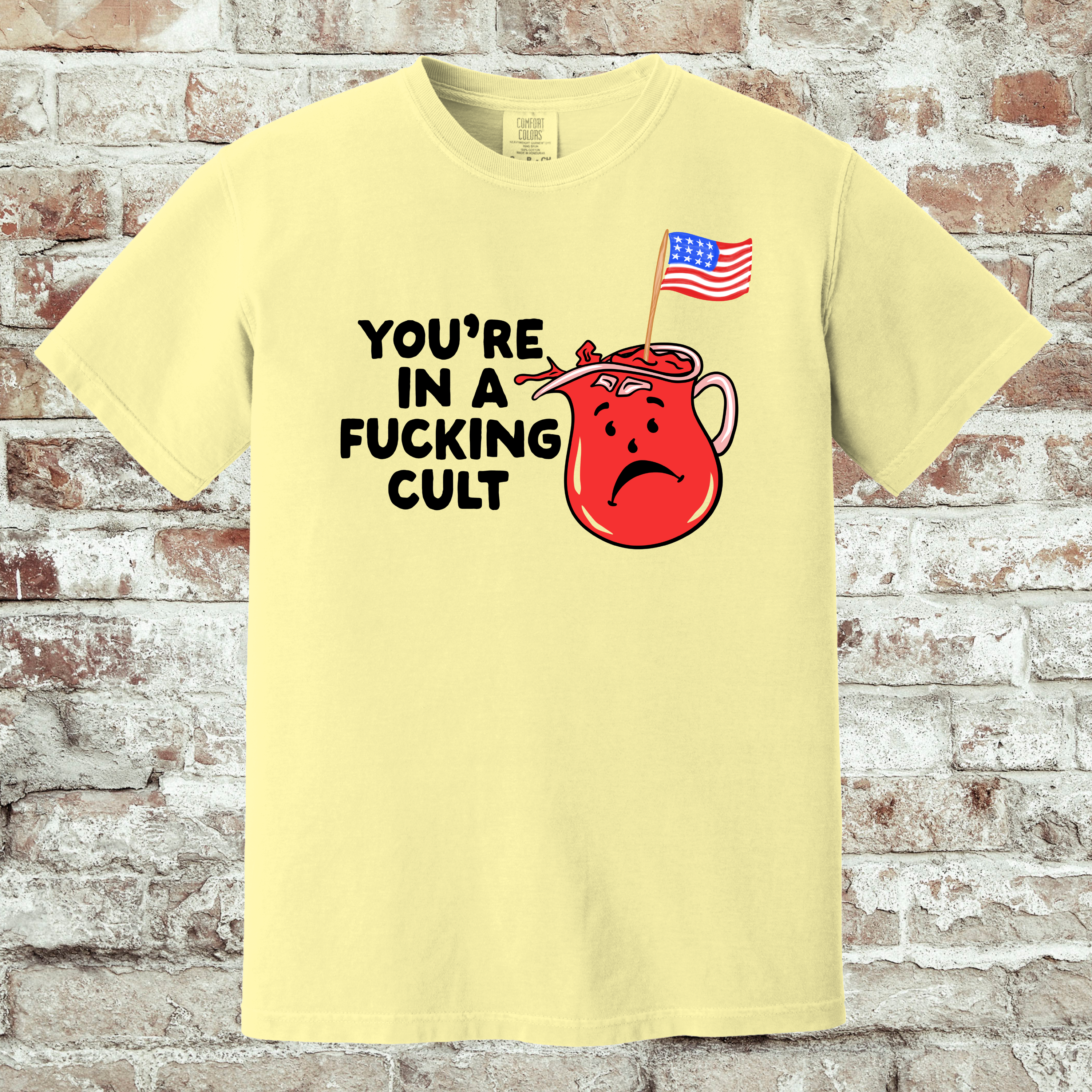 'You're In A Fucking Cult' - Unisex T-Shirt - Some People Marinate In It!