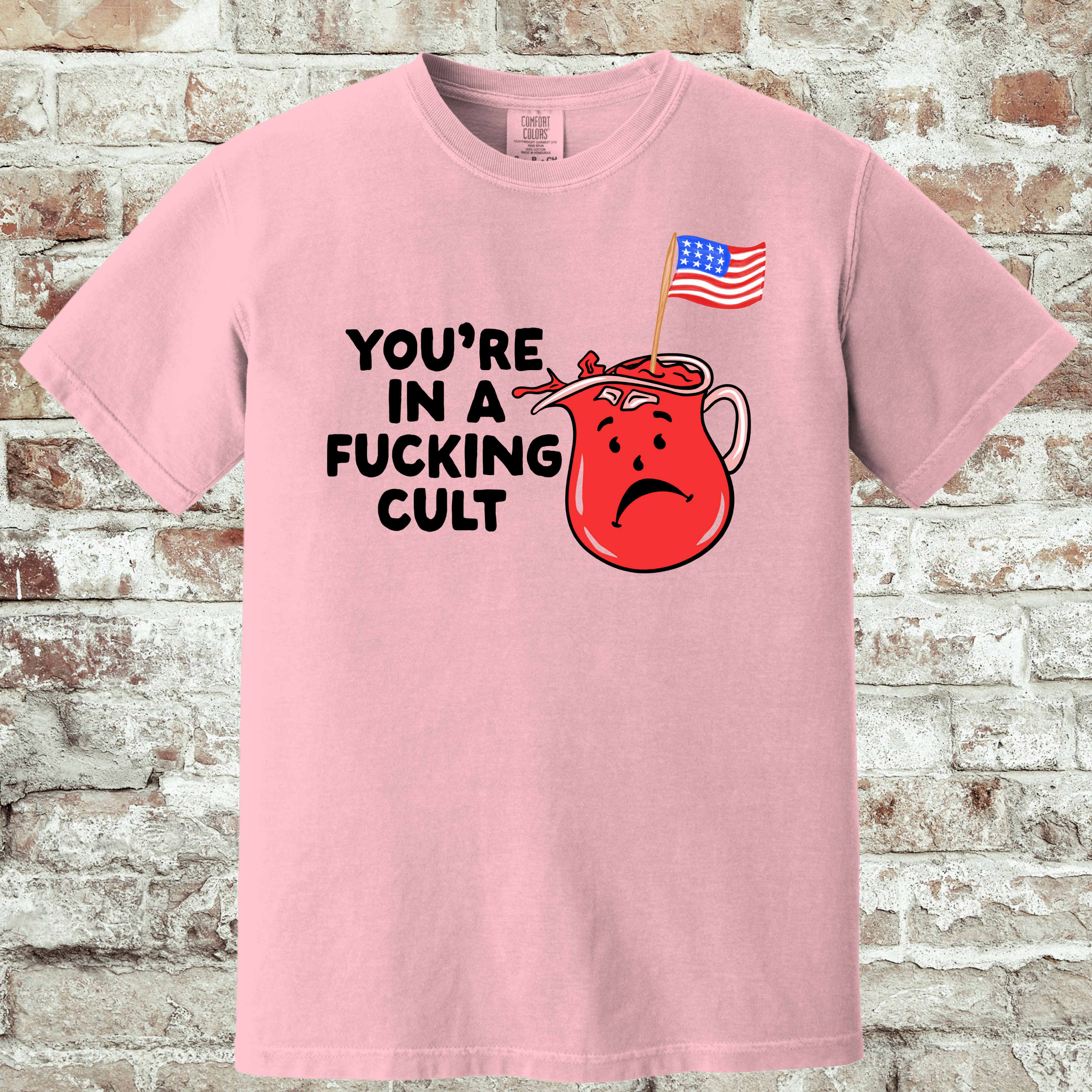 'You're In A Fucking Cult' - Unisex T-Shirt - Some People Marinate In It!