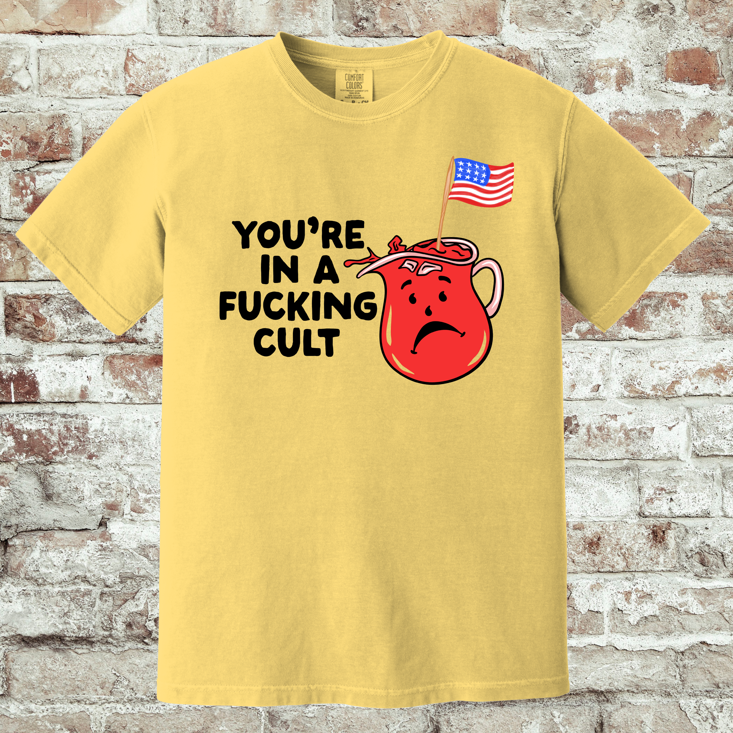 'You're In A Fucking Cult' - Unisex T-Shirt - Some People Marinate In It!