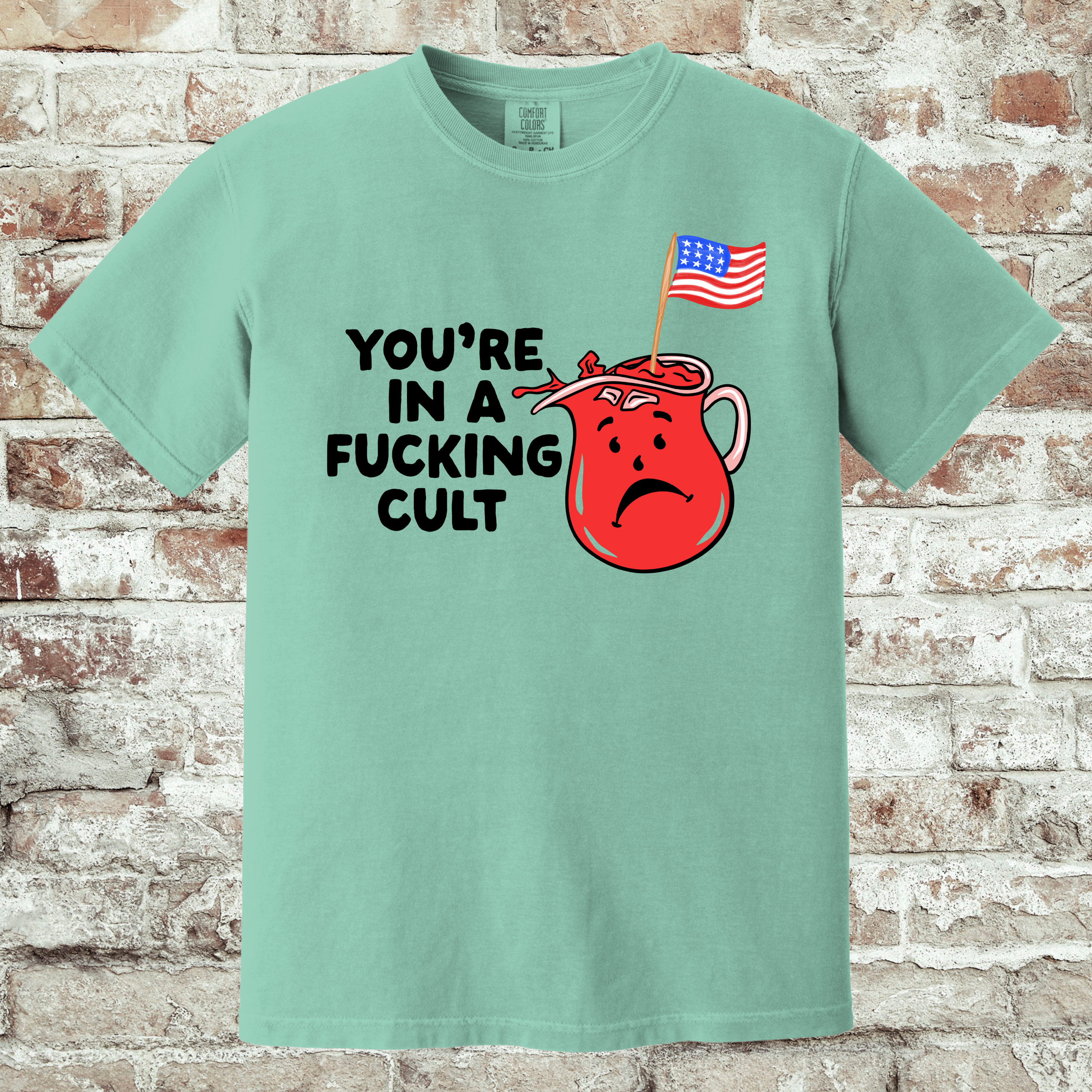 'You're In A Fucking Cult' - Unisex T-Shirt - Some People Marinate In It!