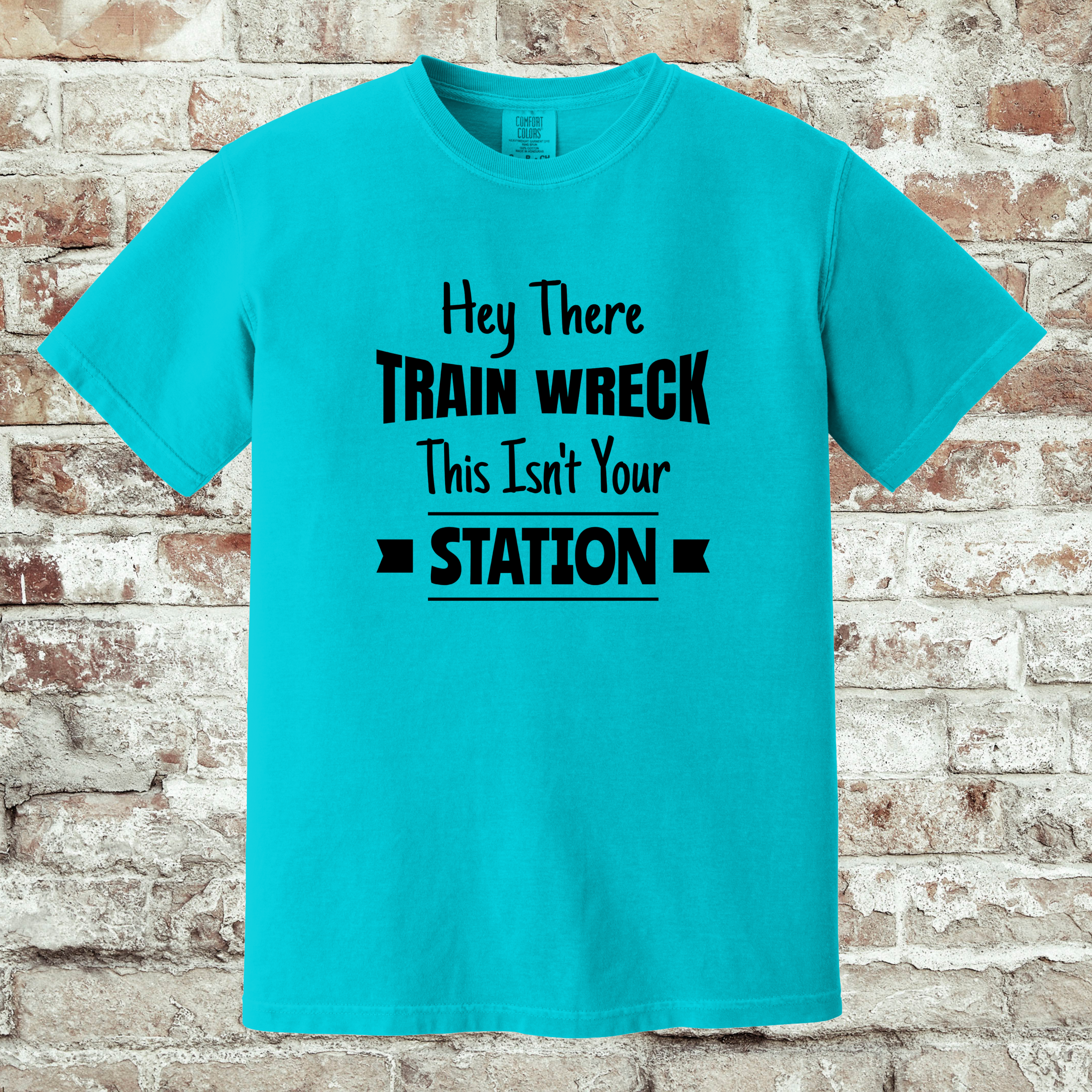 'HEY THERE TRAINWRECK, THIS ISN'T YOUR STATION' - Unisex T-Shirt For Your Next Trainride!