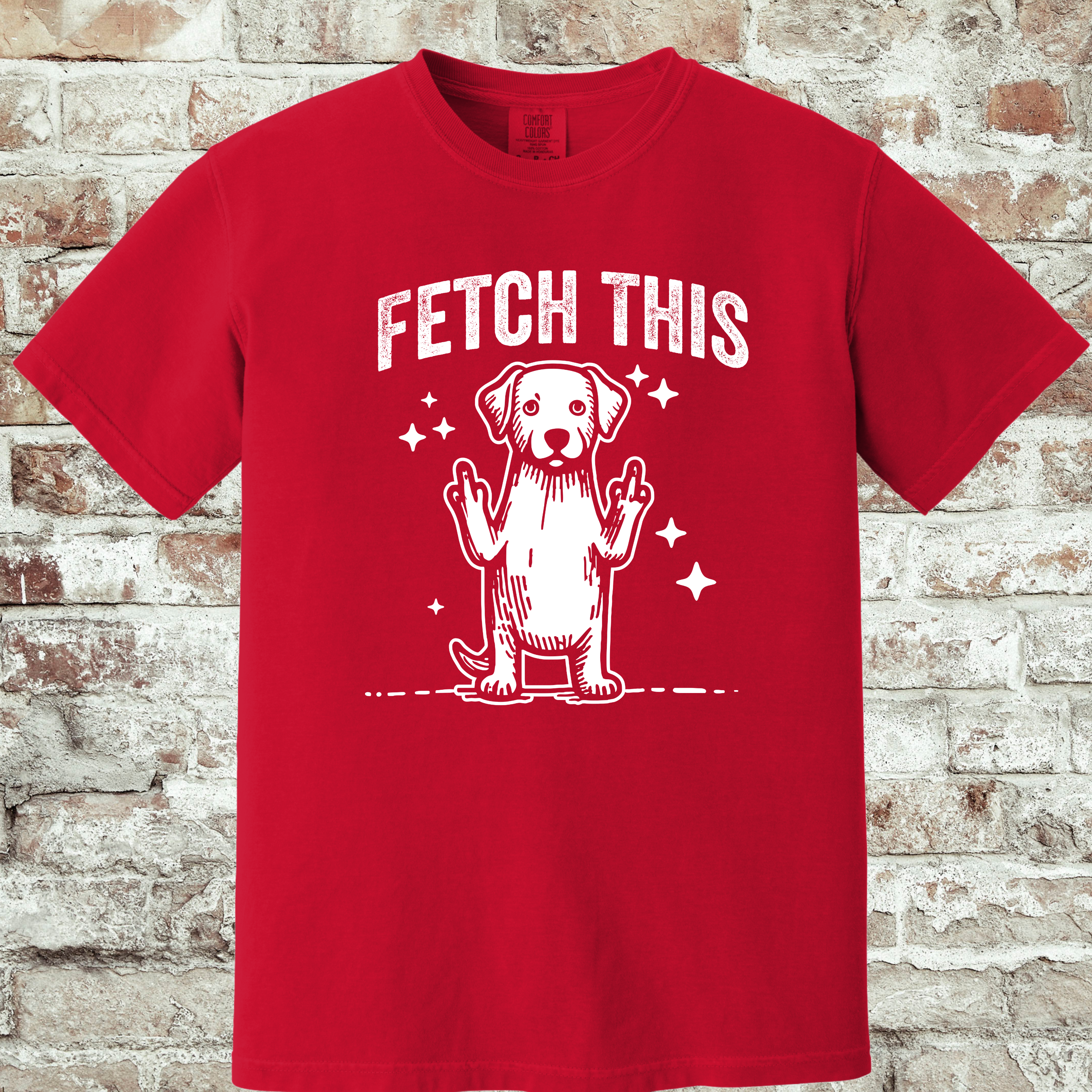 'FETCH THIS' - Unisex T-Shirt