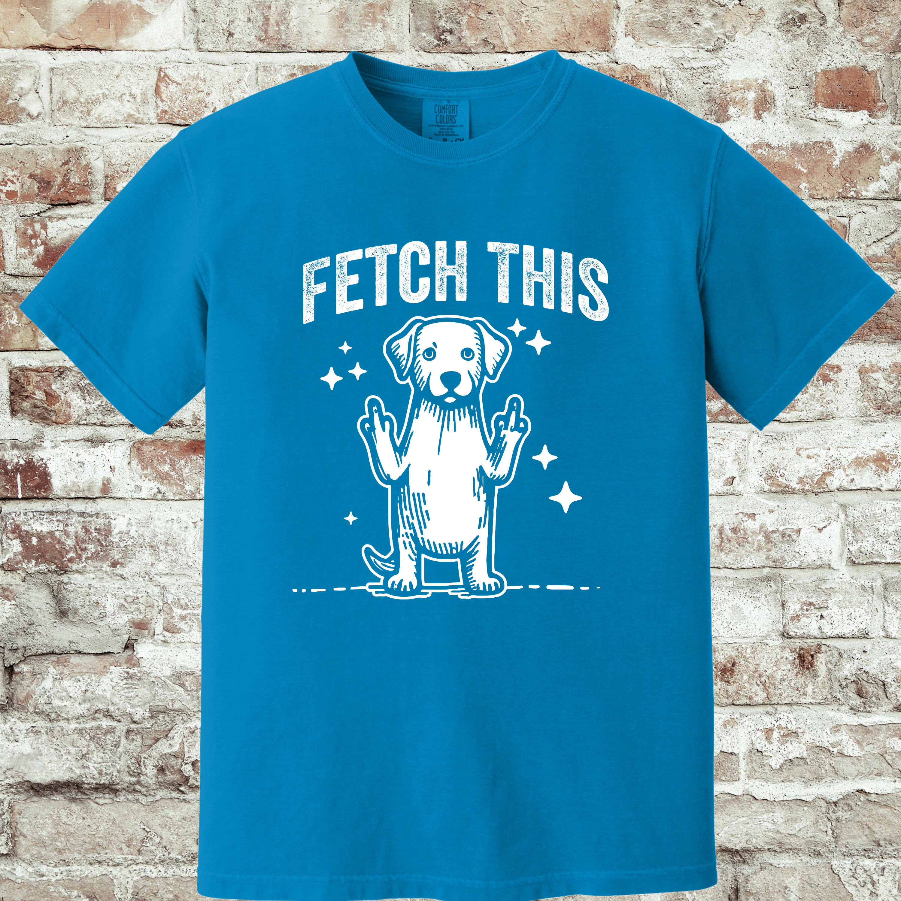 'FETCH THIS' - Unisex T-Shirt