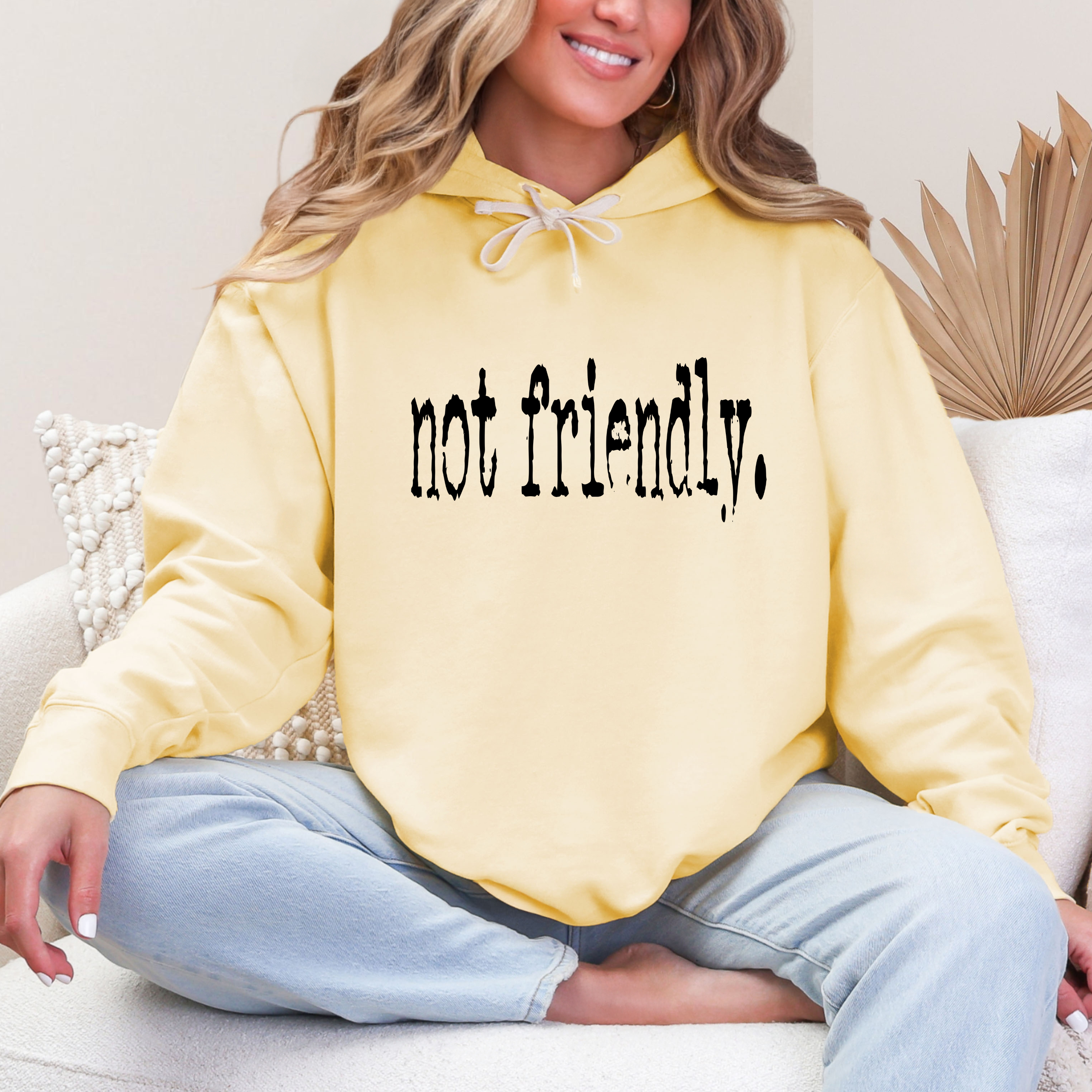 'NOT FRIENDLY' - Lightweight Unisex Comfort Colors Hoodie
