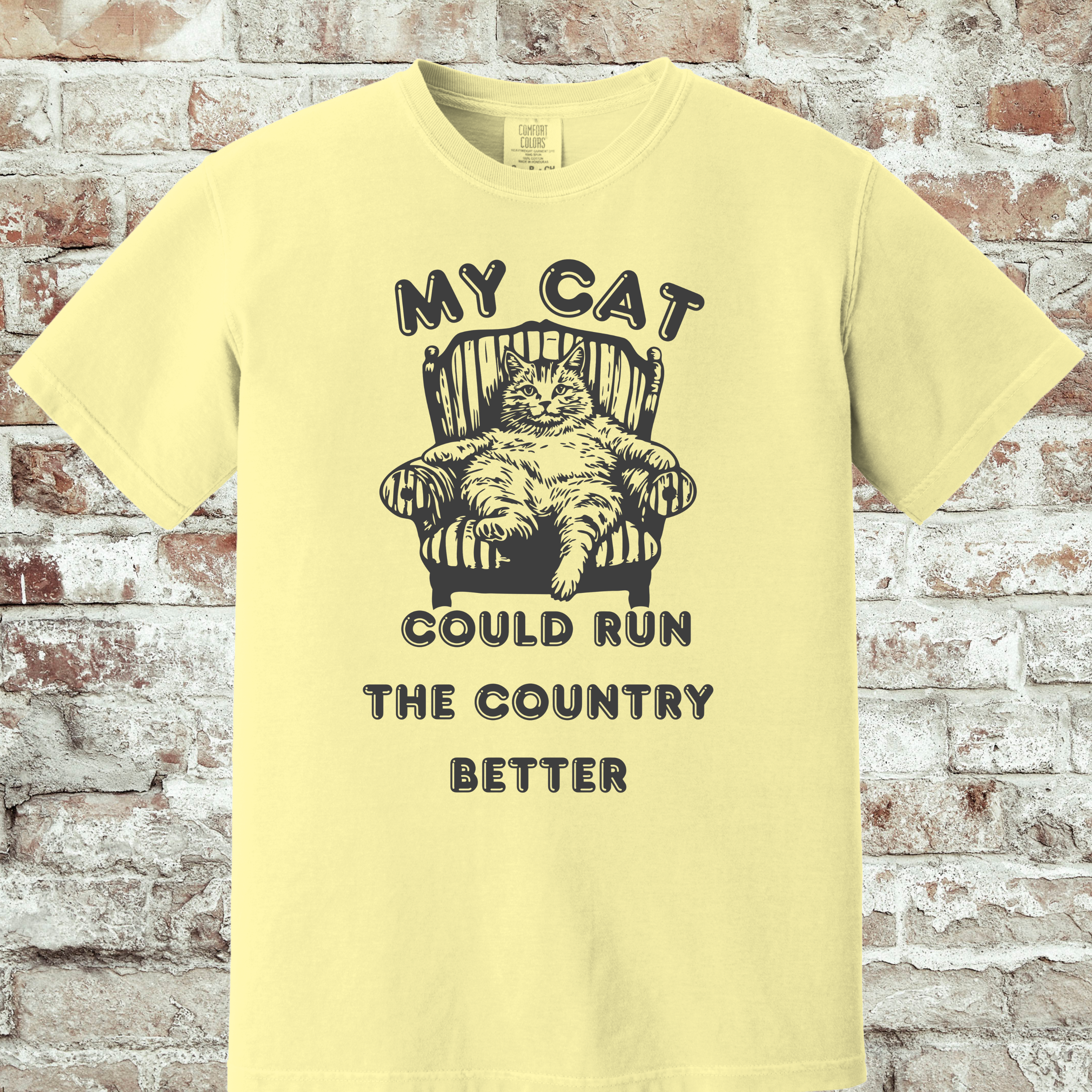 'MY CAT COULD RUN THE COUNTY BETTER' - Unisex T-Shirt