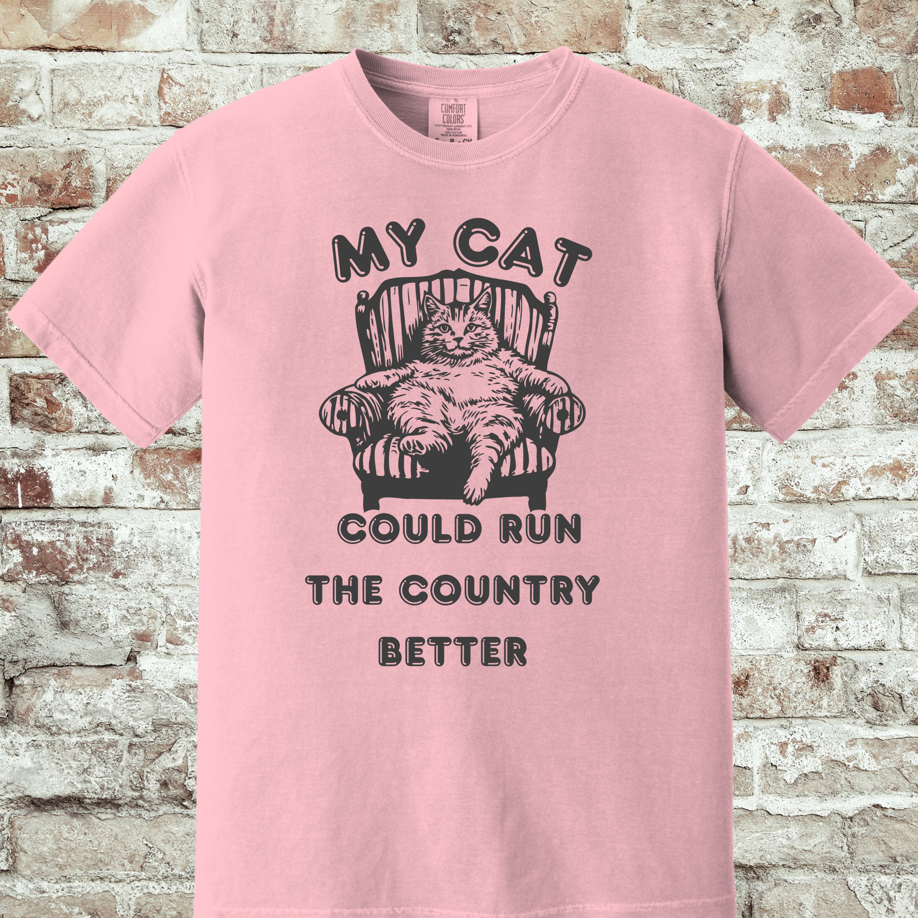 'MY CAT COULD RUN THE COUNTY BETTER' - Unisex T-Shirt