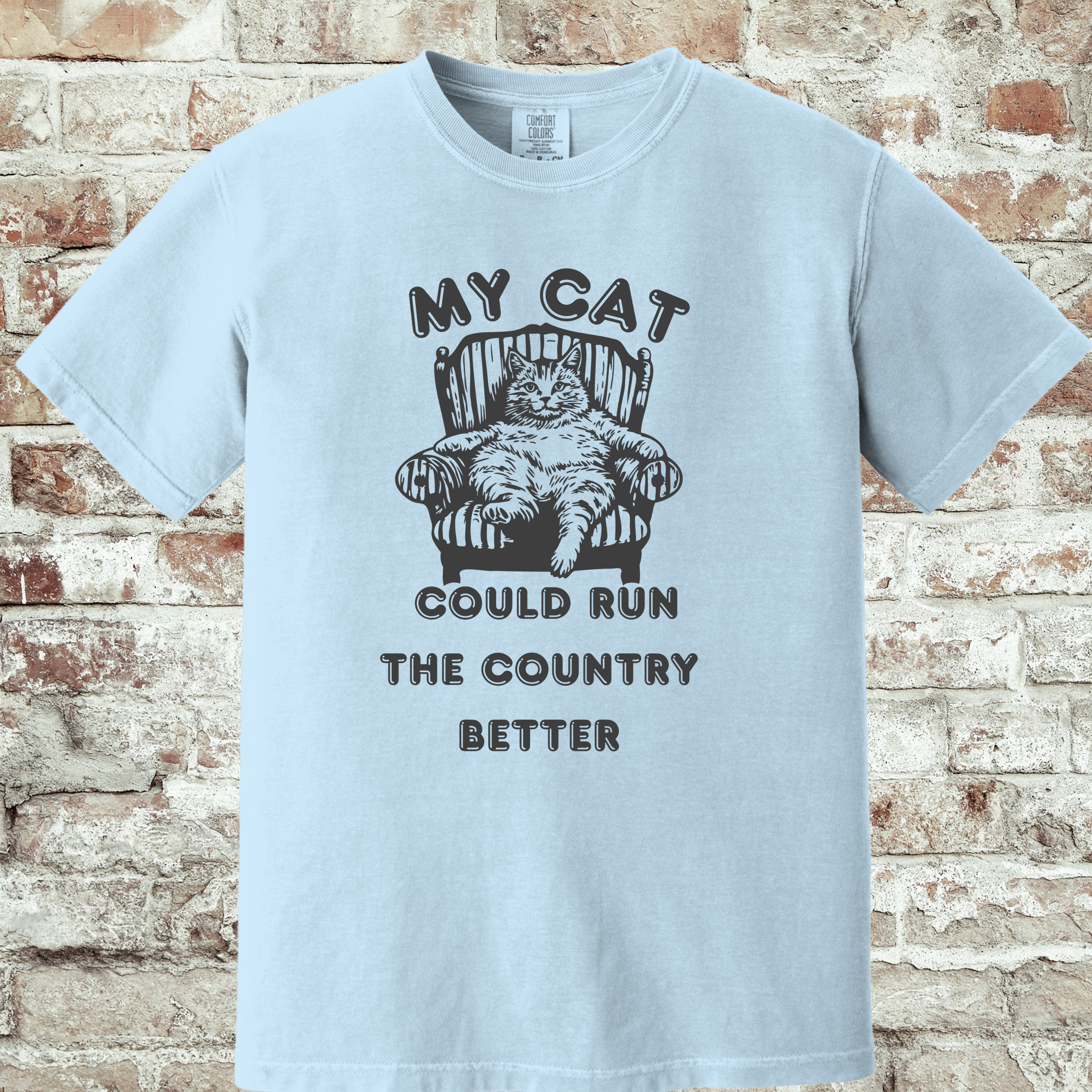 'MY CAT COULD RUN THE COUNTY BETTER' - Unisex T-Shirt